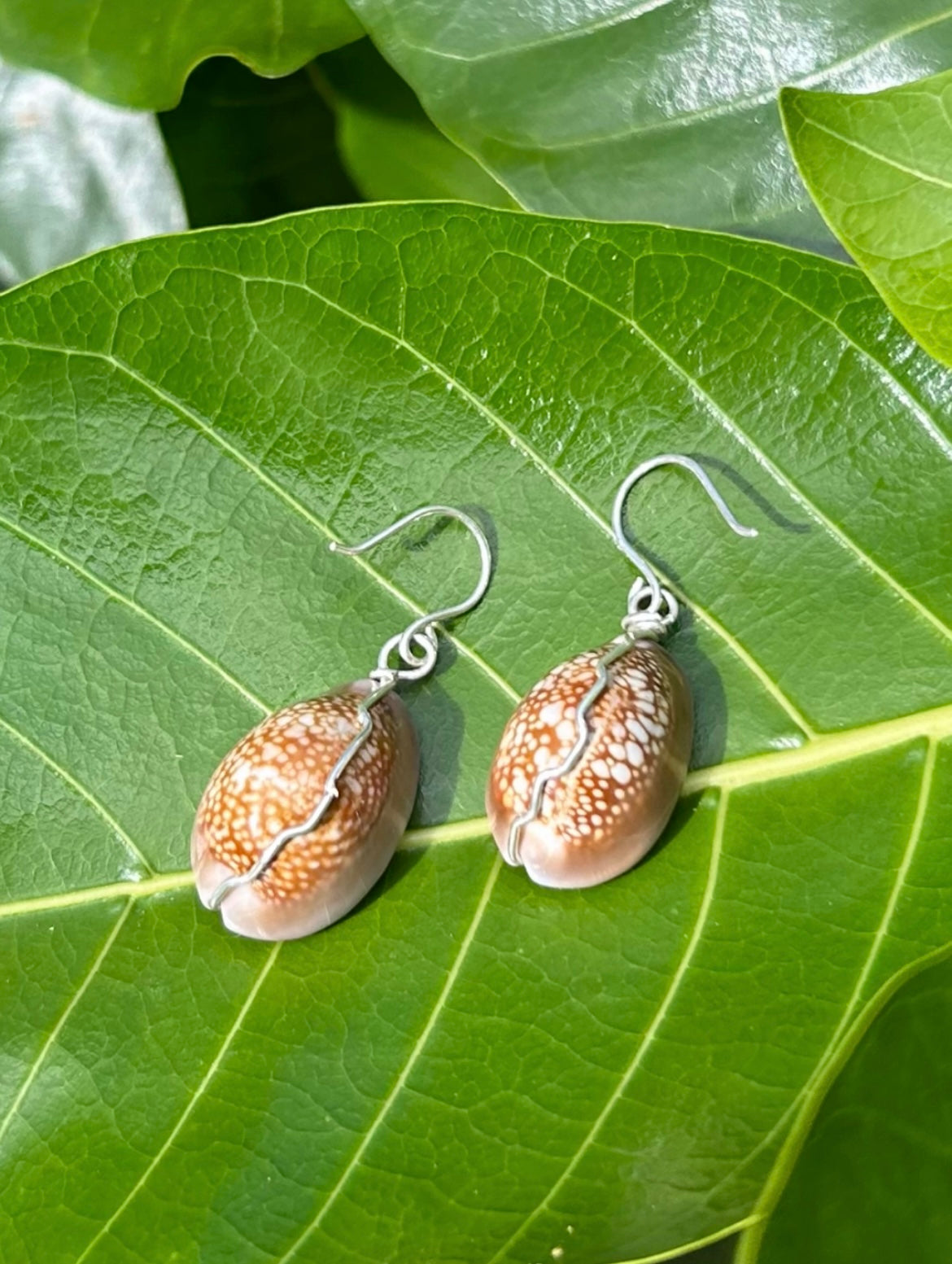 Cowry Earring Natural Brown 14k Gold Filled & Sterling Silver