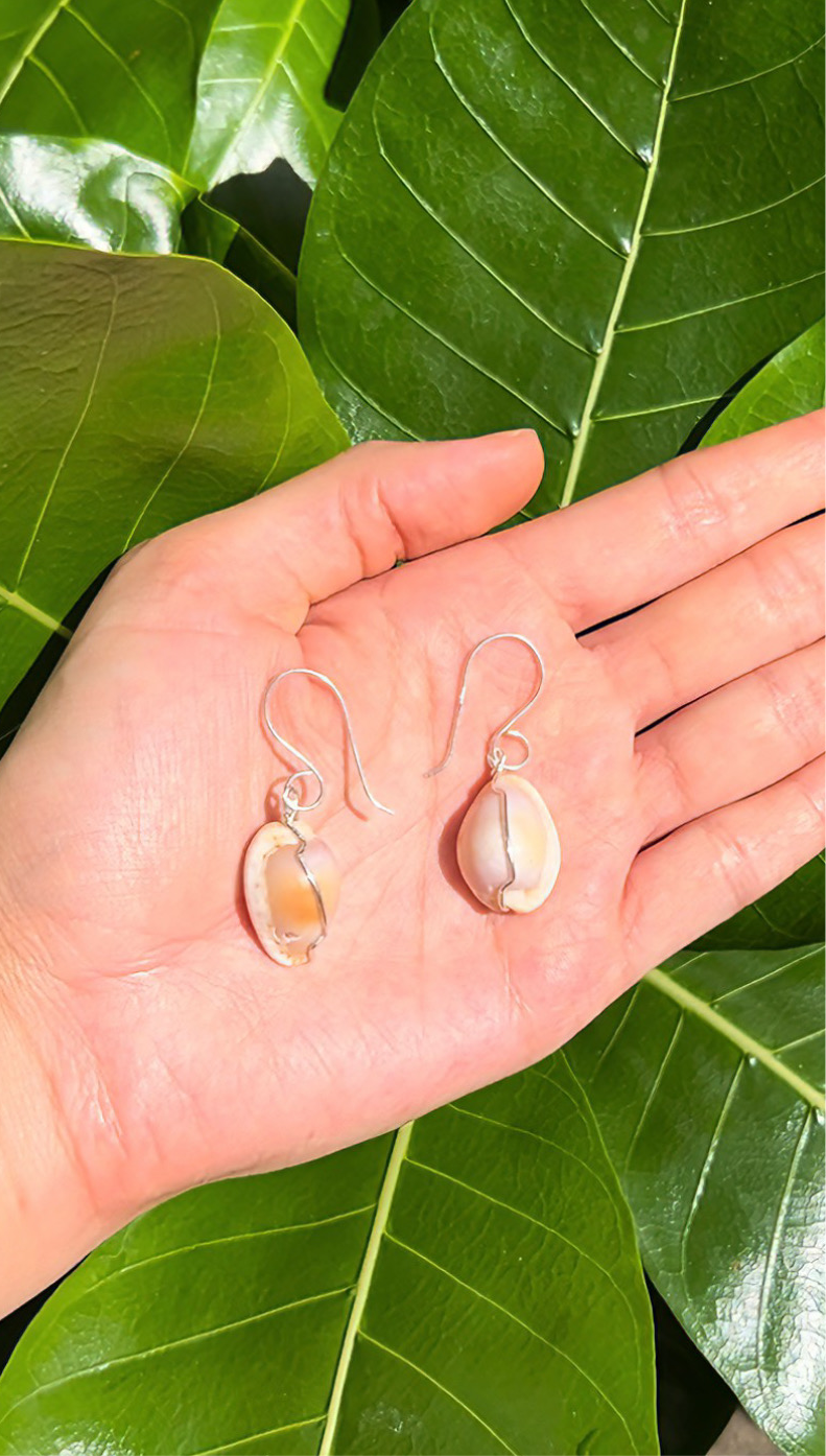 Purple Cowry Earrings 14k Gold Filled & Sterling Silver