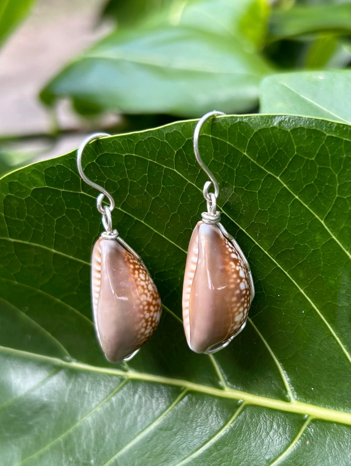 Cowry Earring Natural Brown 14k Gold Filled & Sterling Silver