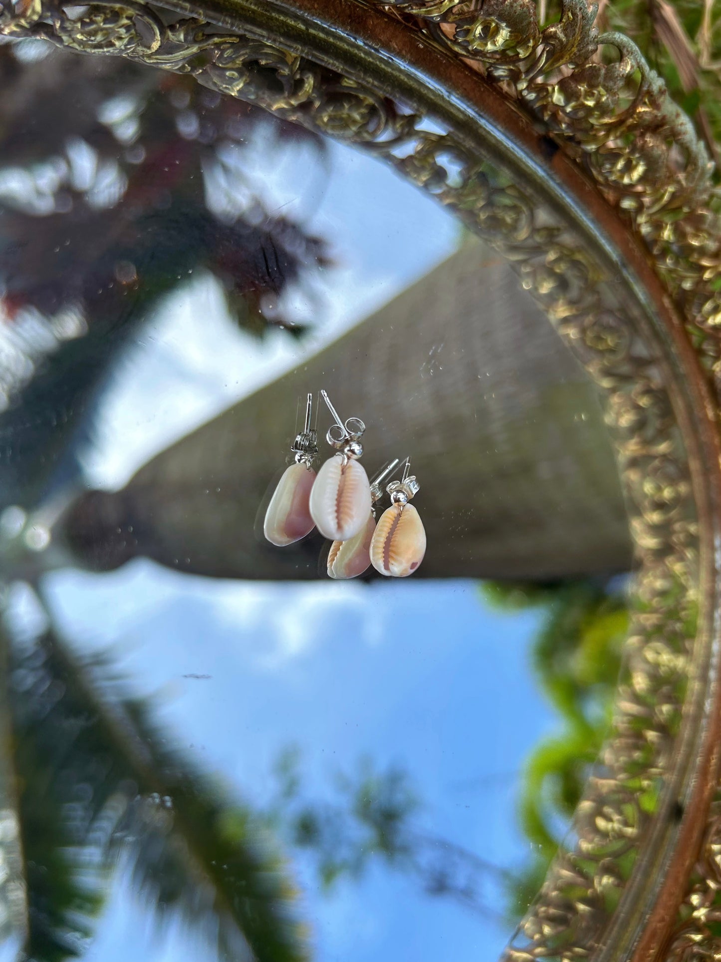 Cowry Stud Earring 14k Gold Filled & Sterling Silver