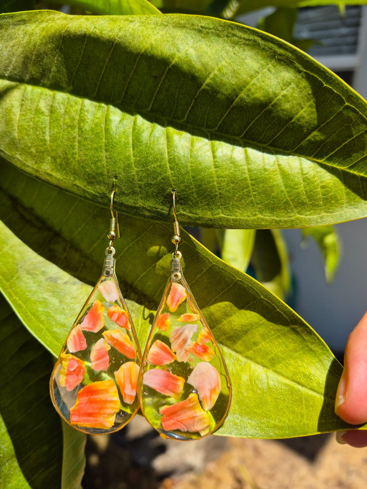 2.5" Earrings Sunrise Shell Shards | 14k Gold Filled