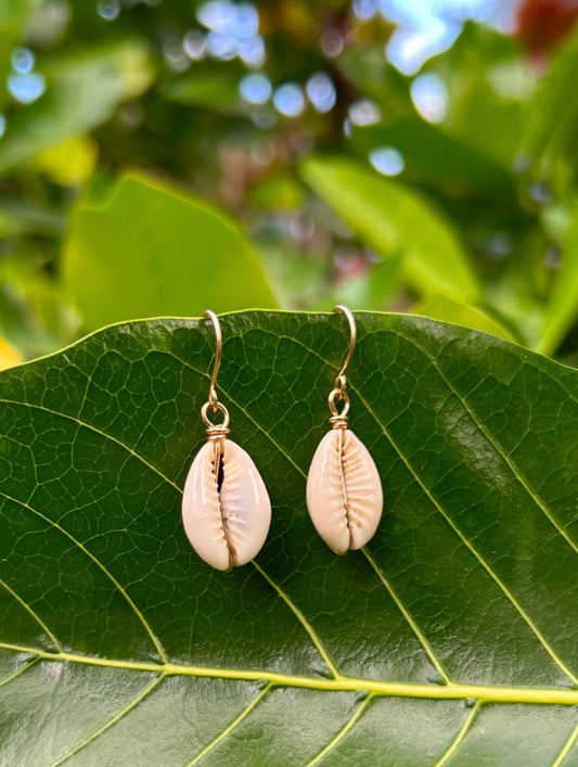 Natural White Cowry Earring             14K Gold
