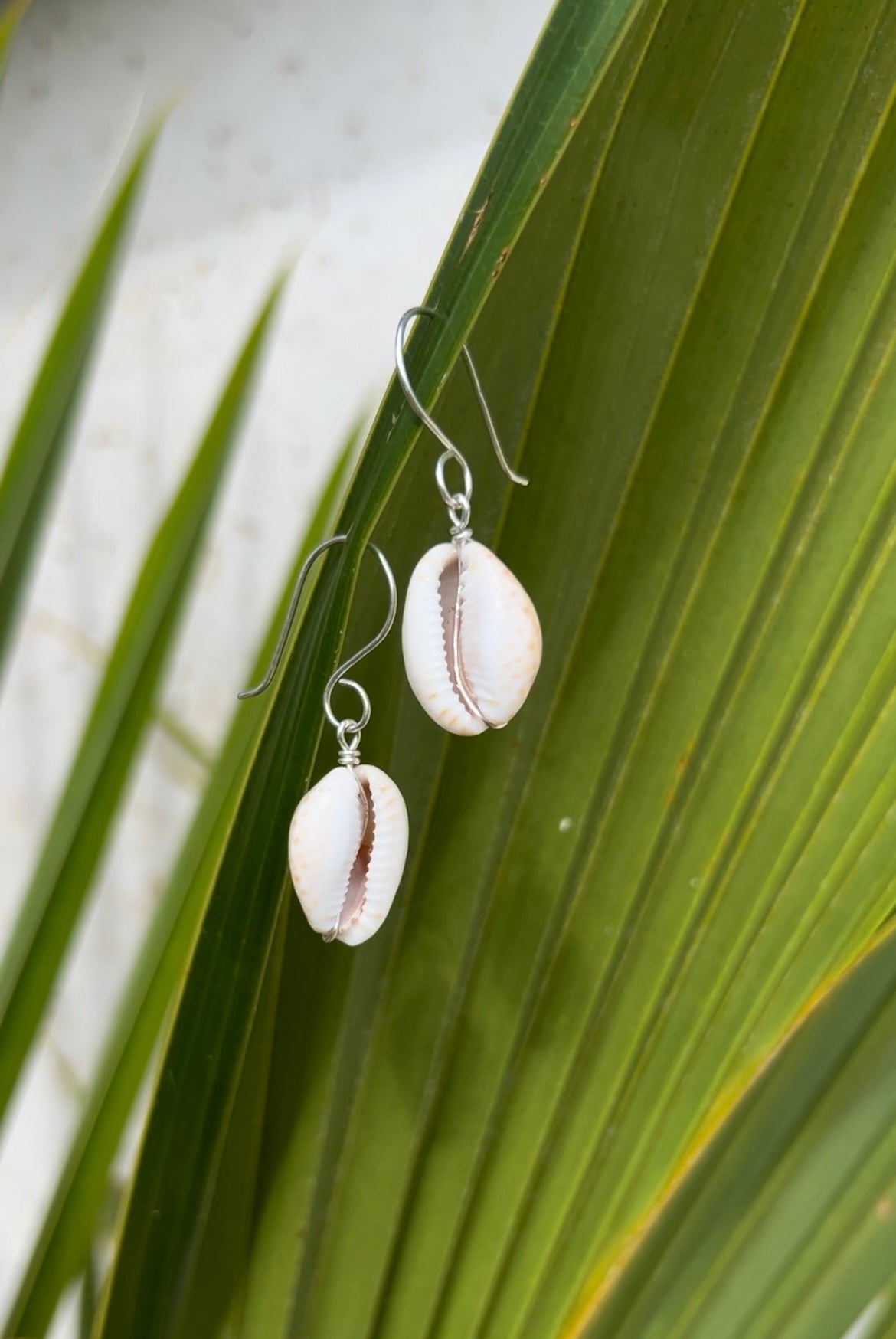 Purple Cowry Earrings                     14k Gold Filled & Sterling Silver