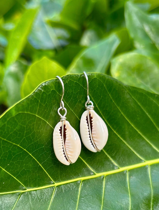 Natural White Cowry Earring Sterling Silver