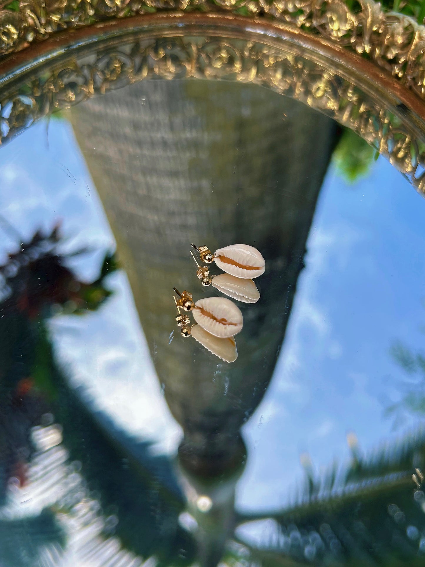 Cowry Stud Earring                     14k Gold Filled & Sterling Silver
