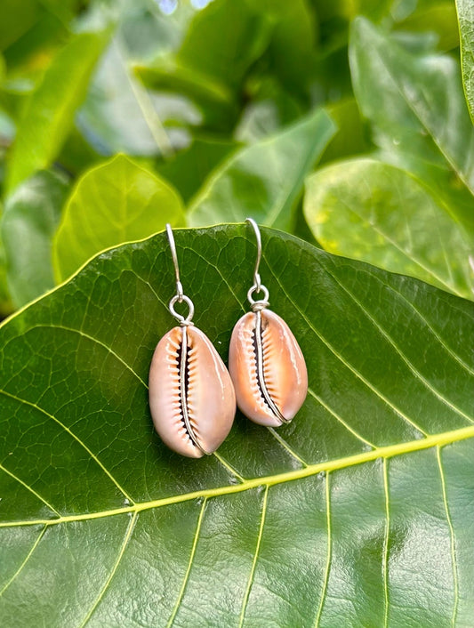 Natural Brown Cowry Earring                 Sterling Silver