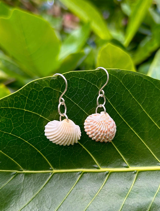 Scallop Shell Earring              Sterling Silver