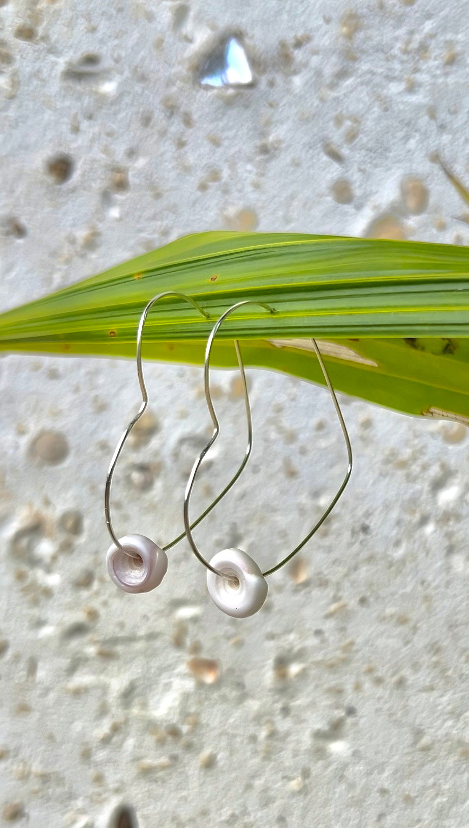 Puka Shell Heart Hoops          14k Gold Filled & Sterling Silver