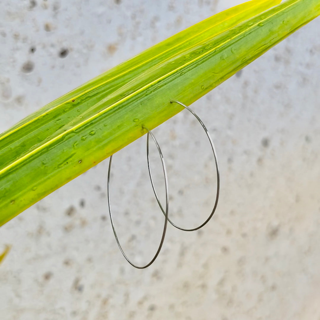 Classic Hoops                                14k Gold Filled & Sterling Silver