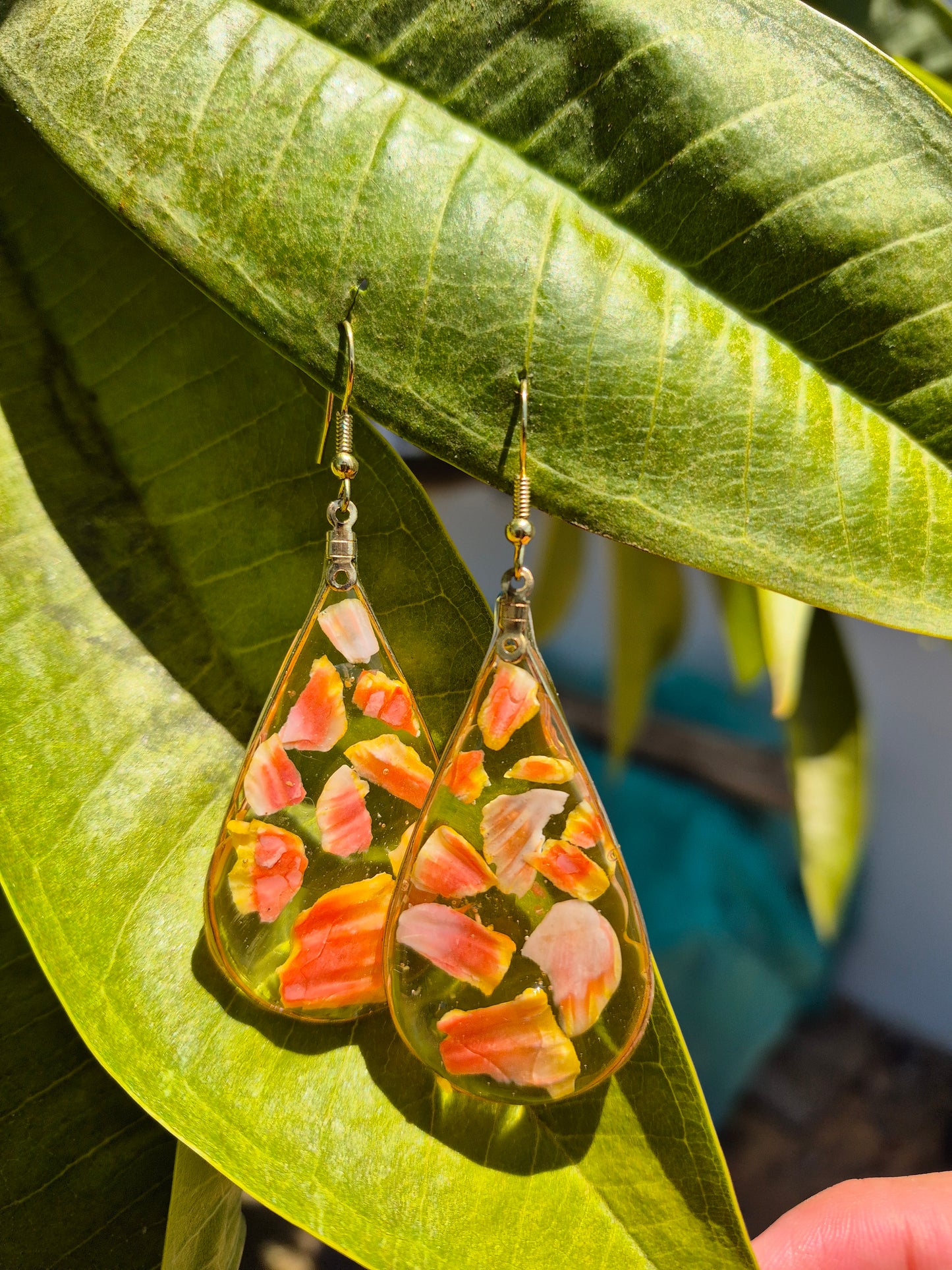 2.5" Earrings Sunrise Shell Shards | 14k Gold Filled